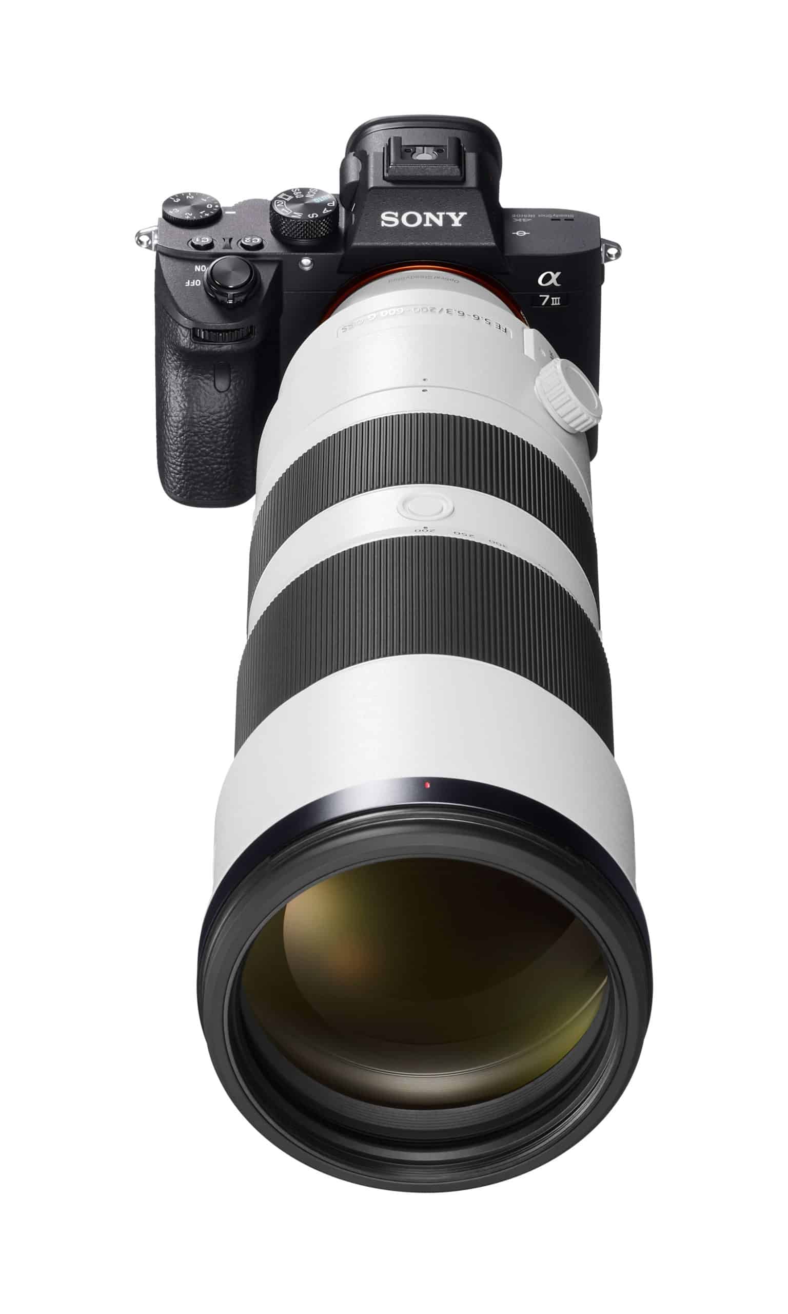 【註冊送超商購物金】SONY FE 200-600mm F5.6-6.3 G OSS 超望遠變焦鏡頭 SEL200600G (公司貨)