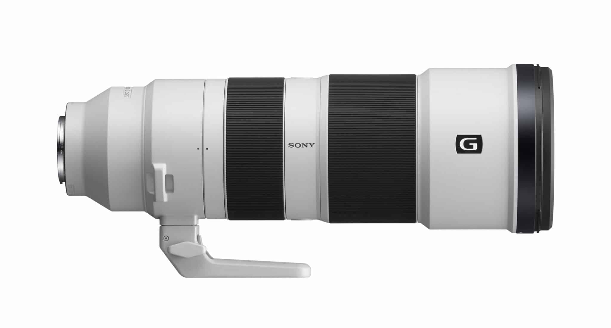 SONY FE 200-600 mm F5.6-6.3 GOsS - レンズ(ズーム)